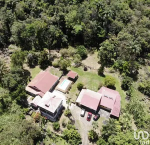 Domaine à VIEUX-HABITANTS (97119)