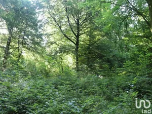 Land at MORLAIX (29600)