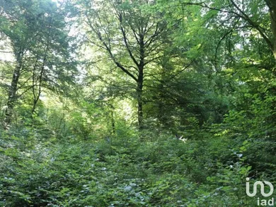 Terrain à MORLAIX (29600)