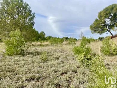 Land at LÉZIGNAN-CORBIÈRES (11200)