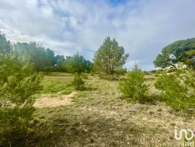 Land at LÉZIGNAN-CORBIÈRES (11200) — 2/4