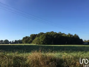 Land at LE PIN (17210)