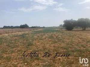 Land at LANSARGUES (34130)