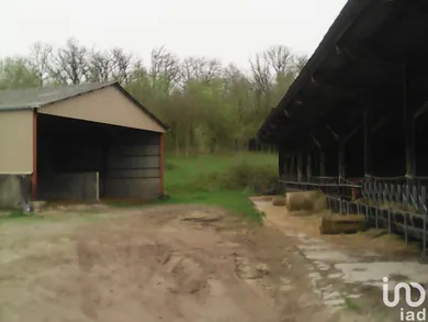 Terrain à ISSEPTS (46320)