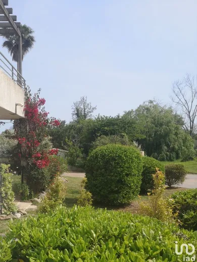 Appartement à POGGIO-MEZZANA (20230) — 14/20
