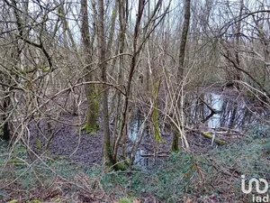 Land in BRAY-SAINT-AIGNAN (45460)