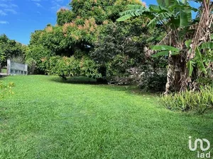 Land at SAINTE-ROSE (97115)