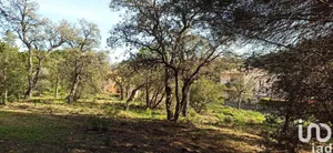 Land at SAINTE-MAXIME (83120)