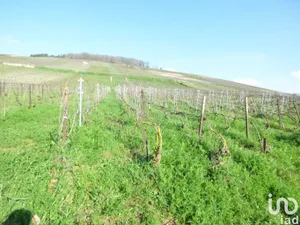 Land at Châtillon-sur-Marne (51700)