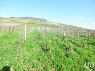 Land at Châtillon-sur-Marne (51700)