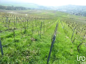 Land in Châtillon-sur-Marne (51700)