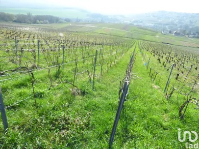 Land in Châtillon-sur-Marne (51700)