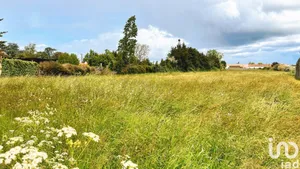 Terrain à LUÇON (85400)