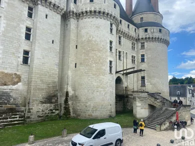 Restaurant at LANGEAIS (37130)
