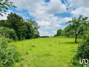 Terrain à Compainville (76440)