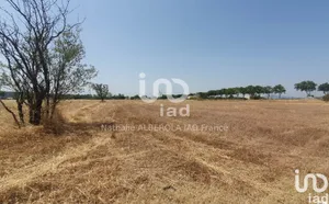 Land in CANET (11200)