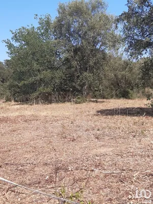 Land in GHISONACCIA (20240)