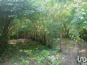 Maison à Loretz-d'Argenton (79290)