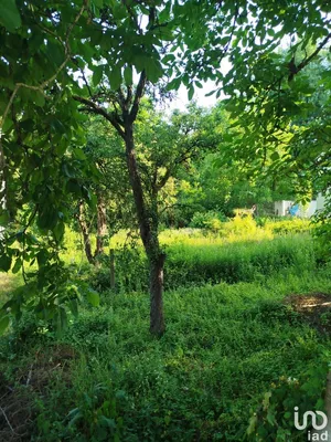 Terrain à SOUPPES-SUR-LOING (77460)