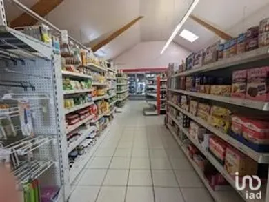 Local d’activité à VILLEDÔMER (37110)