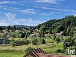Terrain à LE THOLY (88530)