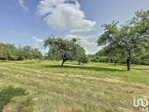 Land at LA SELLE-EN-HERMOY (45210)