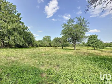 Terrain à LA SELLE-EN-HERMOY (45210)