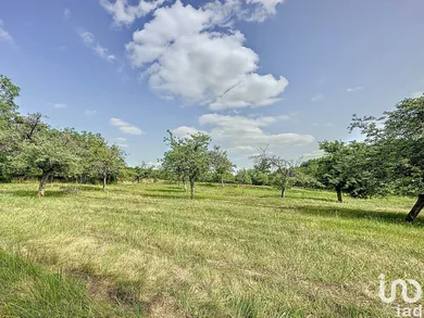 Land at LA SELLE-EN-HERMOY (45210)