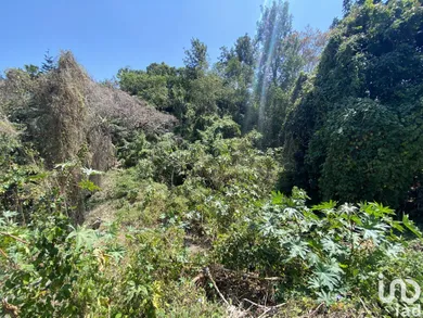 Land at SAINT-PIERRE (97432)