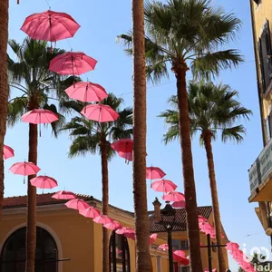 Fast food at GRASSE (06130)