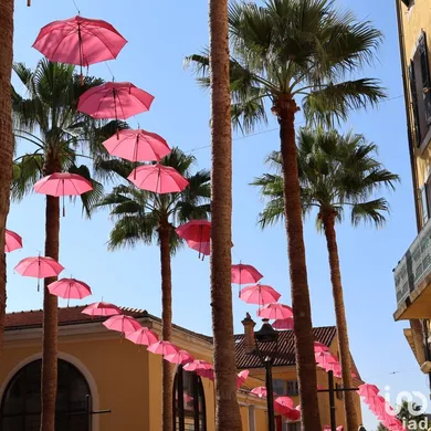 Restauration rapide à GRASSE (06130)