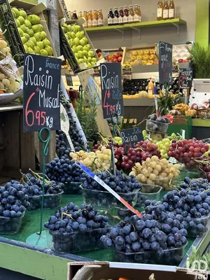 Commercial in MONTROUGE (92120)