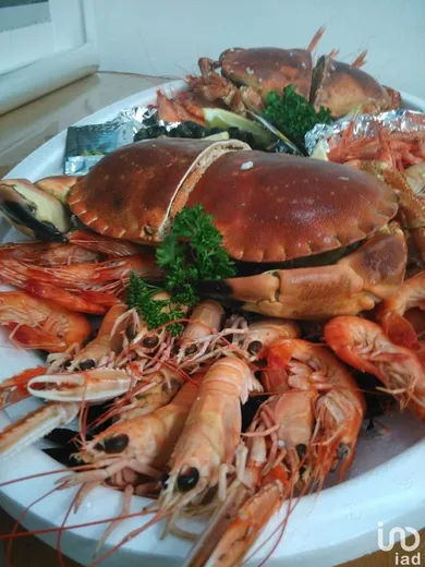 Commercial at NANTES (44000)