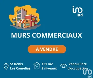 Murs commerciaux  à SAINT-DENIS CAMELIAS (97400)