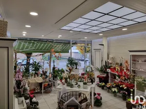 Local d’activité à ANCENIS (44150)