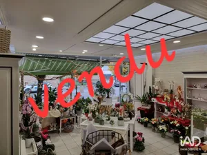 Business asset in ANCENIS (44150)