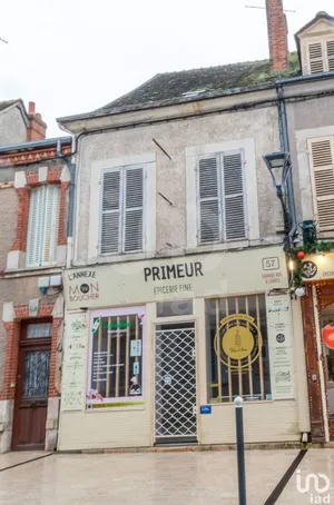 Boutique/Local commercial à LORRIS (45260)
