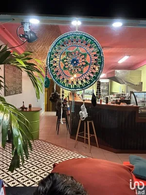Fast food at SAINT-PIERRE (97410)