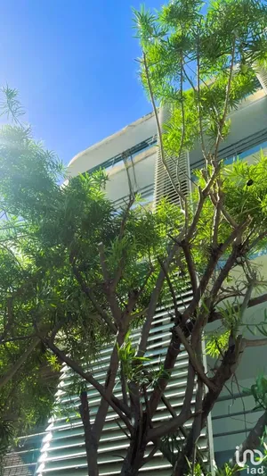 Apartment at SAINTE-CLOTILDE (97490)