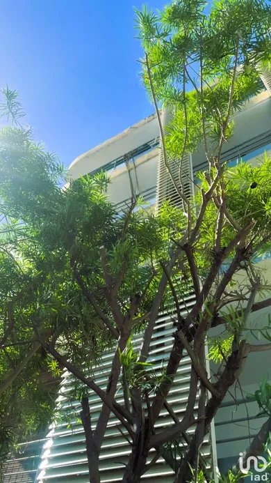 Appartement à SAINTE-CLOTILDE (97490)