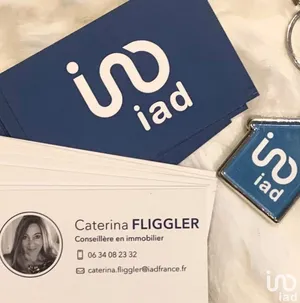 Restaurant in LA ROCHE-POSAY (86270)