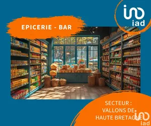 Bar-brasserie à LOHÉAC (35550)
