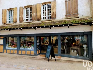 Boutique/Local commercial à CHÂTEAU-RENARD (45220)