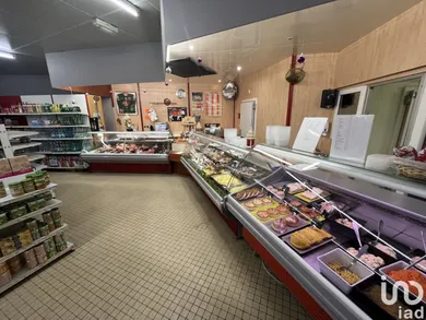 Commercial at SAINT-JEAN-BRÉVELAY (56660)