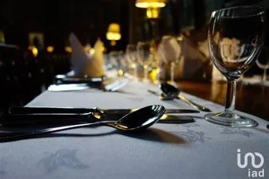 Hôtel-restaurant à DOUÉ EN ANJOU (49700)