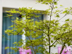 Apartment at PONT-SAINTE-MAXENCE (60700)