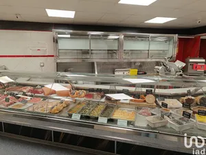 Local d’activité à AGDE (34300)