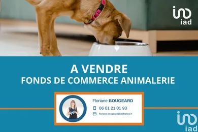 Commercial at SAINT-CARNÉ (22100)