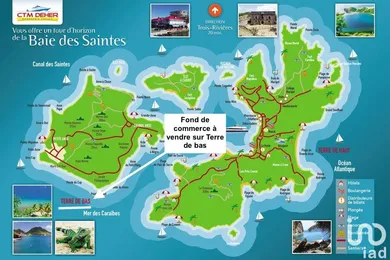 Restaurant à TERRE-DE-BAS (97136)