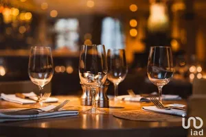 Restaurant à BOIS-LE-ROI (77590)